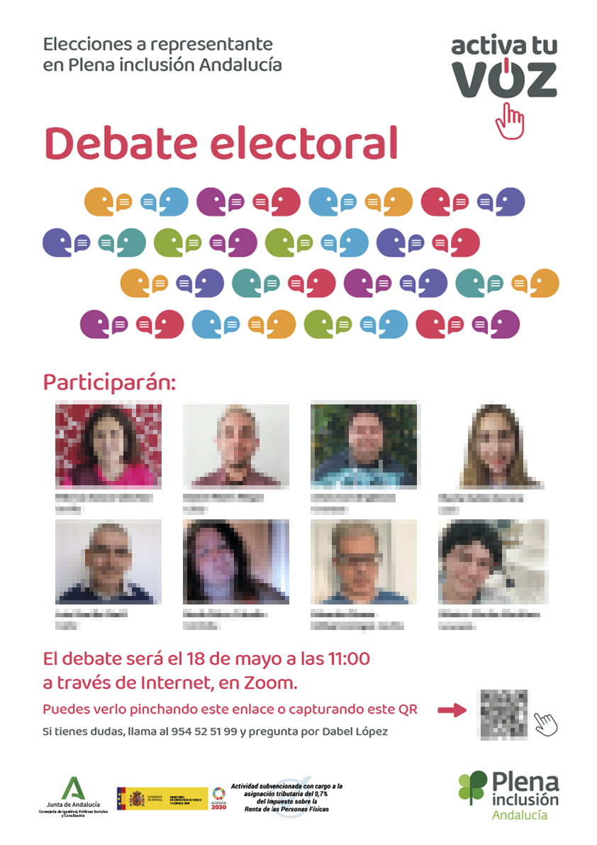 Diseño de línea gráfica. Elecciones. Plena inclusión Andalucía