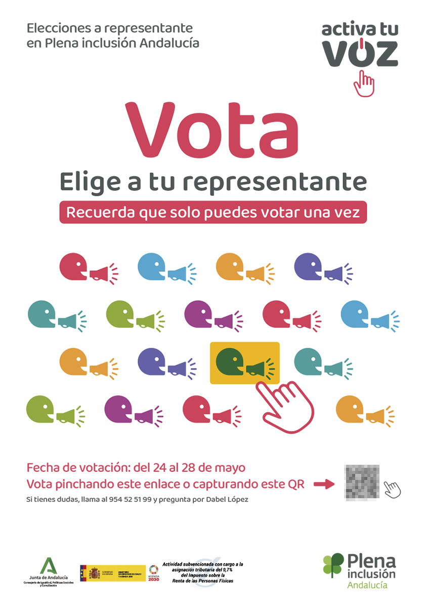 Diseño de línea gráfica. Elecciones. Plena inclusión Andalucía